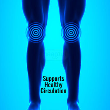 Compression Knee Support (CKS04)