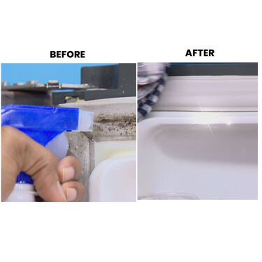 Mold Cleaner with Moisture Absorber