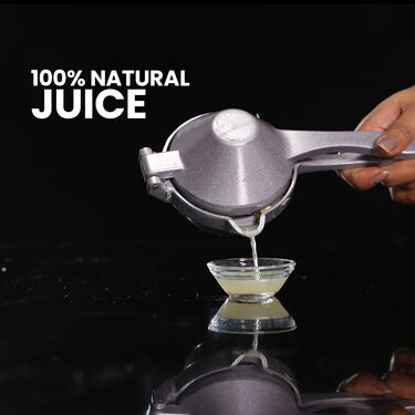 Hand Press Juicer (FJ10)